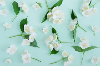 Pastel mavi zemin üzerine Yasemin çiçekleri ile Seamless modeli