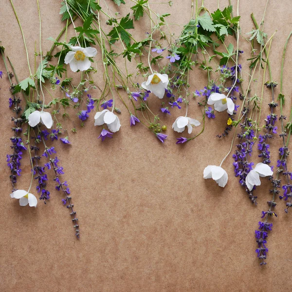 Composición Flores Silvestres Blancas Violetas Sobre Fondo Papel Marrón — Foto de Stock