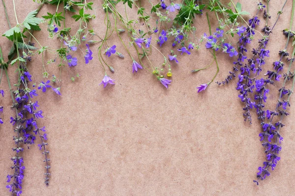 Kahverengi kağıt arka plan üzerinde mor çiçekler