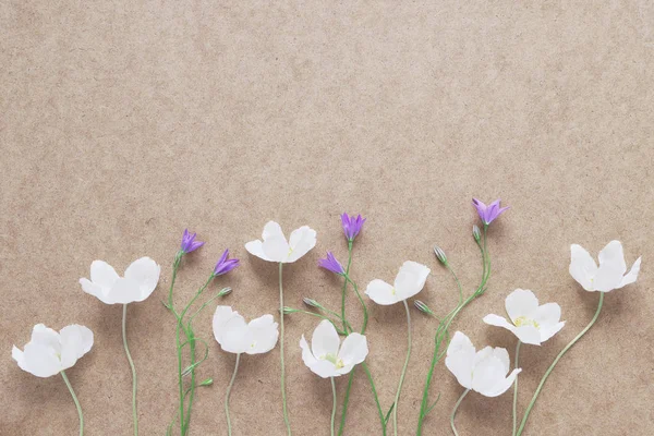 Border of white and violet wildflowers on brown paper background