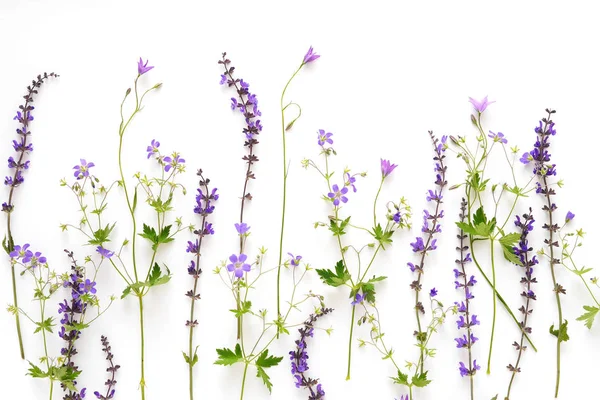 Beyaz arka plan üzerinde farklı mor çiçekler çiçek sınır yapılmış