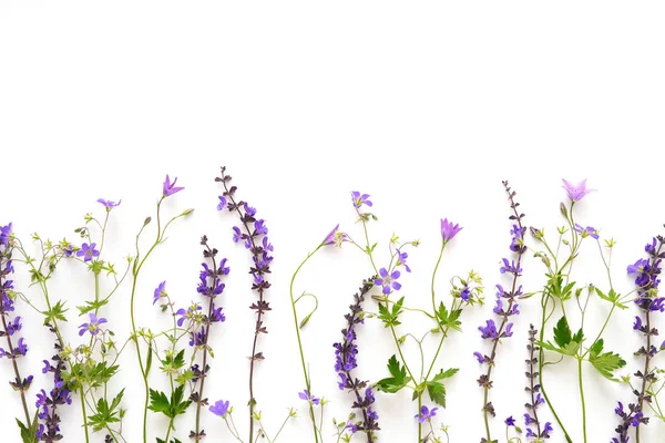 Floral border made of different violet wildflowers on white background