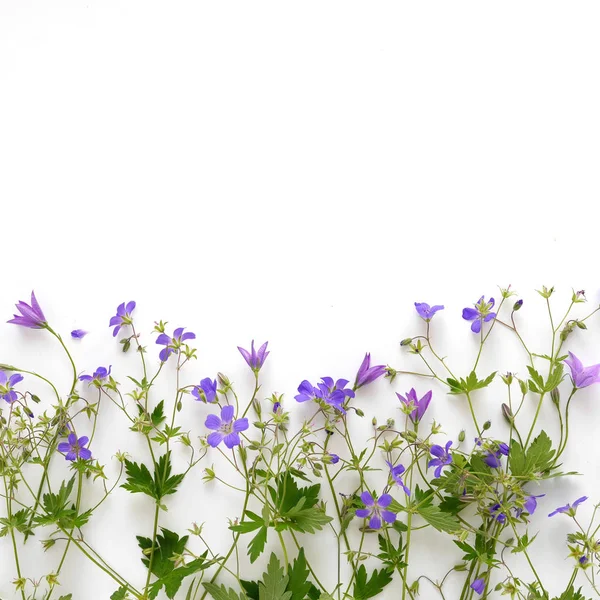 Floral border made of violet bellflowers and wildflowers on white background