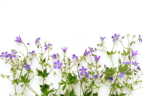 Floral border made of violet bellflowers and wildflowers on white background