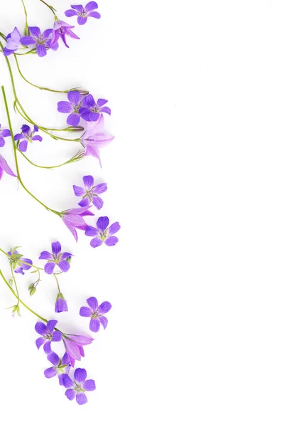 Frontera Floral Campanillas Violetas Flores Silvestres Aisladas Sobre Fondo Blanco — Foto de Stock