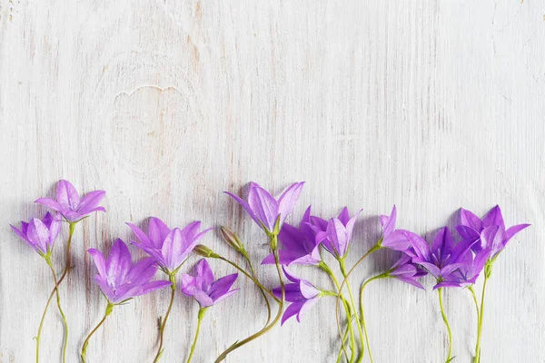 Çiçek sınır menekşe bellflowers ahşap zemin üzerine yapılmış