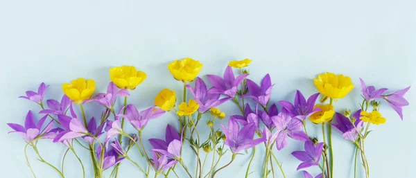 Borde Floral Botones Violetas Botones Amarillos Sobre Fondo Azul Pastel — Foto de Stock