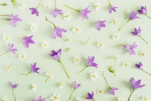 Patrón Floral Sin Costuras Flores Silvestres Blancas Botones Sobre Fondo — Foto de Stock