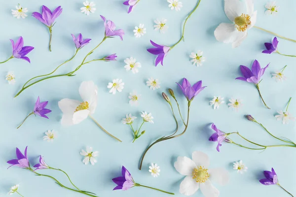 야생화 Dogroses 파란색 배경에 Bellflowers의 — 스톡 사진