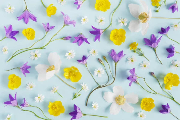 Beyaz kır çiçekleri, dogroses, bellflowers ve soluk mavi zemin üzerine Düğünçiçekleri seamless modeli