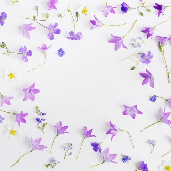 Marco Con Bellflowers Forget Nots Flores Silvestres Violetas Aisladas Sobre — Foto de Stock