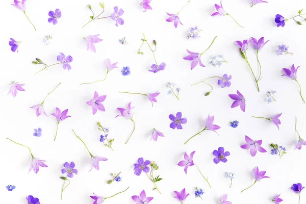 Seamless Pattern Bellflowers Forget Nots Isolated White Background — Stock Photo, Image