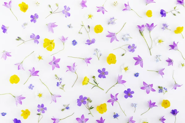 Dikişsiz desen Düğünçiçekleri, bellflowers ve beyaz arka plan üzerinde izole korun