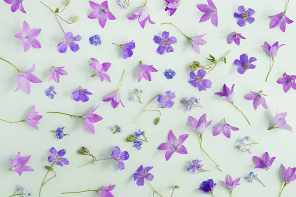 Bellflowers Mor Çiçekler Soluk Yeşil Zemin Üzerine Dikişsiz Desen — Stok fotoğraf
