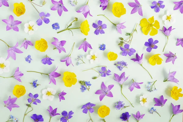 Seamless modeli farklı kır çiçekleri, Düğünçiçekleri ve soluk yeşil zemin üzerine bellflowers