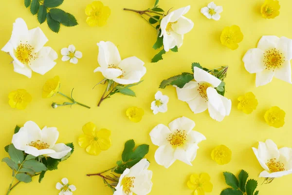 Dogroses ve Düğünçiçekleri parlak sarı zemin üzerine