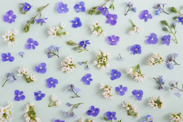 Naadloze Patroon Van Verschillende Wilde Bloemen — Stockfoto