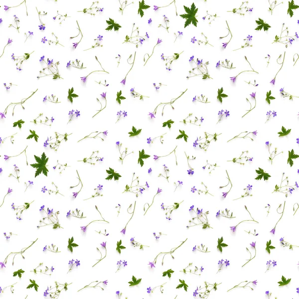 Beyaz arka plan üzerinde izole bellflowers yapılmış sorunsuz çiçek desenli