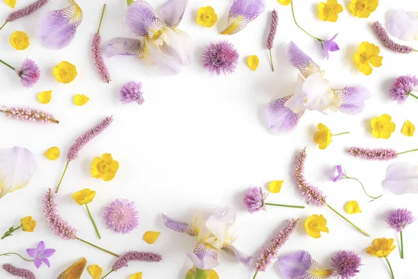 Orkide Düğünçiçekleri Yonca Beyaz Arka Plan Üzerinde Izole Çan Çerçeve — Stok fotoğraf