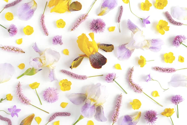 Naadloze Patroon Gemaakt Van Orchideeën Boterbloemen Klaver Klokken Geïsoleerd Witte — Stockfoto