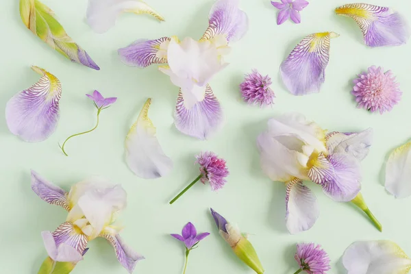 Orchids with clover and bells on pale green background