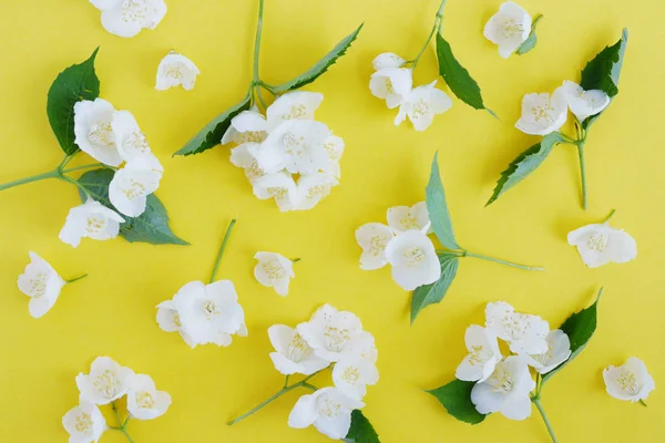 Parlak Sarı Zemin Üzerine Yasemin Çiçekleri Ile Seamless Modeli — Stok fotoğraf