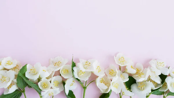 Border of jasmine flowers on pale pink background