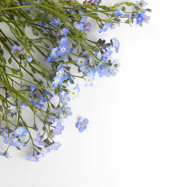 Beyaz arka plan üzerinde izole korun kenarlığını