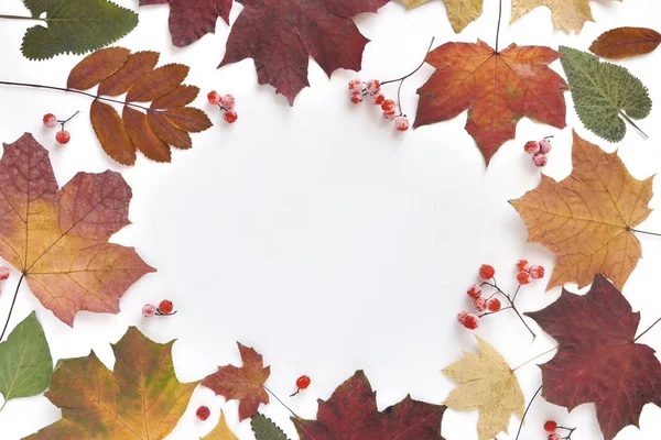 Yaprak ve meyveleri izole beyaz arka plan üzerinde farklı türde çerçeve yaptı