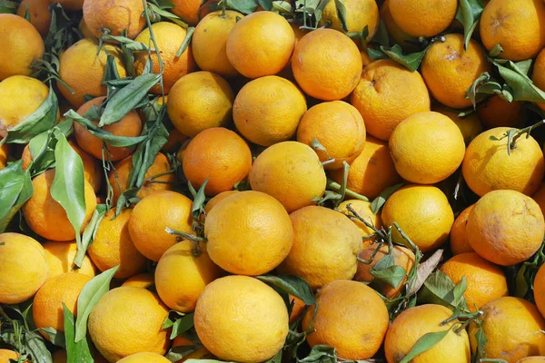 Durak üzerinde ham olgun portakal görünümü Kapat