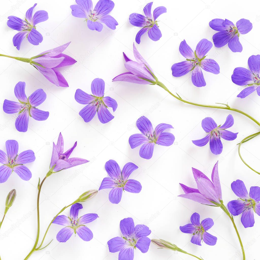 Seamless pattern of violet wildflowers and bellflowers isolated on white background