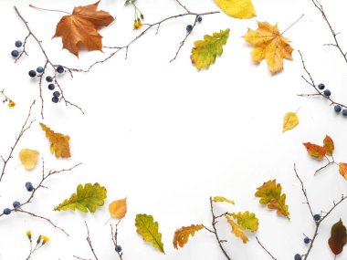 Üstten görünüm sonbaharın meyveleri ile beyaz zemin üzerine bırakır.