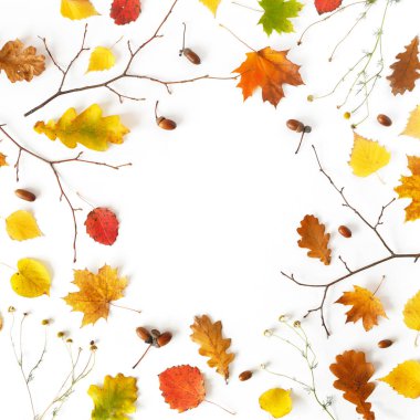 Sonbahar yaprakları ve meşe palamutları doğal arka plan metin için yer ile