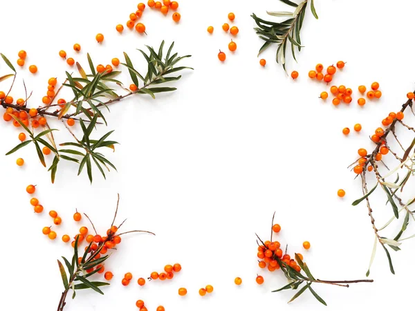 Taze olgun deniz cehri çilek beyaz izole yaprakları ile