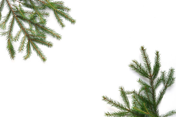 Composition of evergreen fir twigs with copyspace
