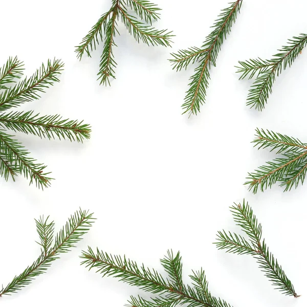 Composition Evergreen Fir Twigs Copyspace — Stock Photo, Image