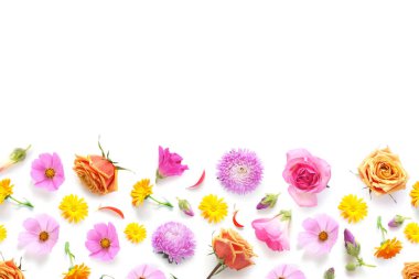 Beyaz arka plan üzerinde izole parlak çiçek deseni