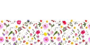 Beyaz arka plan üzerinde izole parlak çiçek deseni