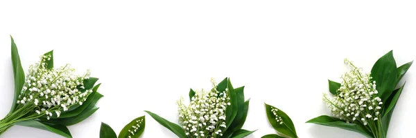 Maiglöckchen Blumen Isoliert Auf Weißem Hintergrund — Stockfoto