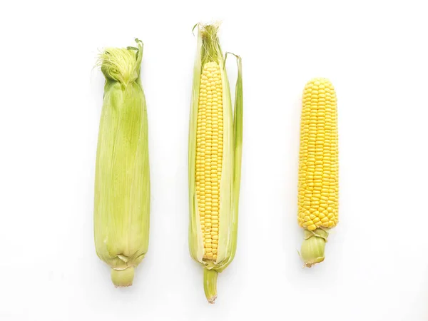 玉米在玉米芯上隔离在白色背景 顶部视图 — 图库照片