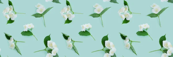 Seamless Pattern White Flowers Blue Background — Stock Photo, Image