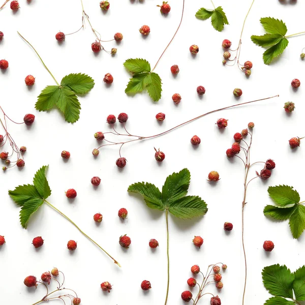 白い背景の上から見た新鮮な赤い果実 — ストック写真