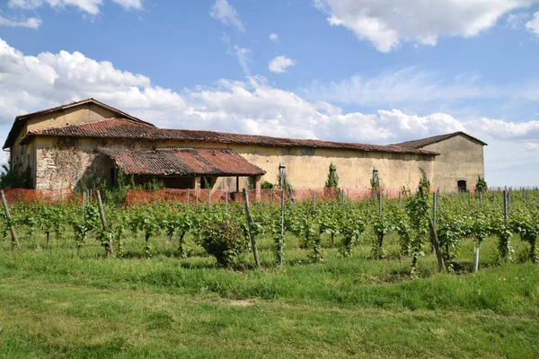 Antiga casa de camponeses rodeada pela sua vinha em Franciacorta — Fotografia de Stock