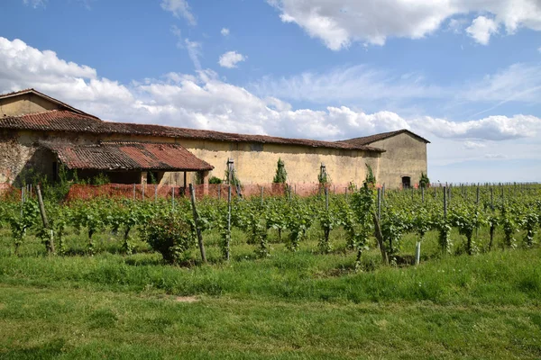 Oude boerderij omringd door zijn wijngaard in Franciacorta-I — Stockfoto