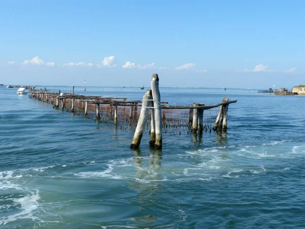 Zucht von Muscheln in der Lagune von Venedig - Italien — Stockfoto