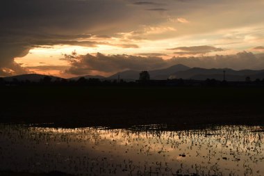 Bir yağmur fırtınasının ardından yollar ve tarlalar sel altında kaldı.