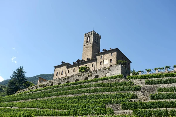 The estate of the castle of Sarre and its vineyard in Aosta Vall — ストック写真