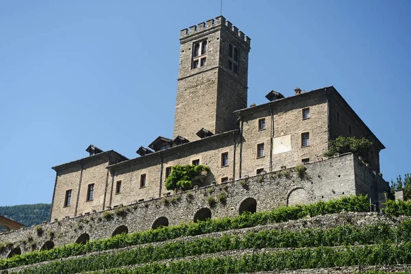 El castillo medieval de Sarre y su finca cultivada con — Foto de Stock