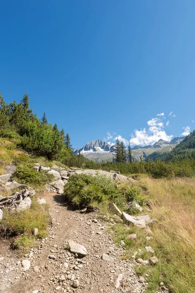 Pico Cuidado Alto 3462 Parque Nacional Adamello Brenta Visto Desde — Foto de Stock