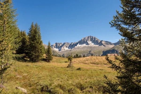 Peak Care Alto 3462 National Park Adamello Brenta Seen Val — Stock Photo, Image